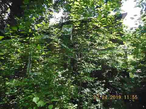 20027 Derby (4)_m.jpg